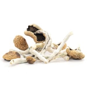 arenal-volcano-mushrooms